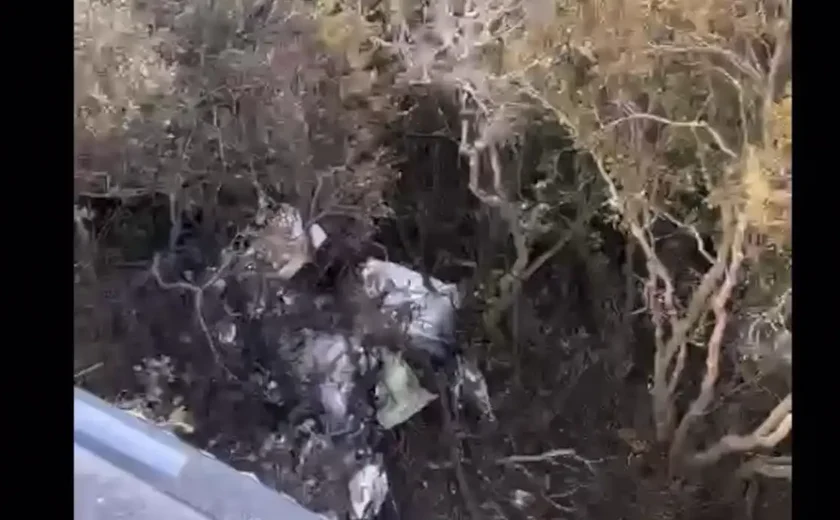 Destroços de avião desaparecido são encontrados em mata no Amazonas