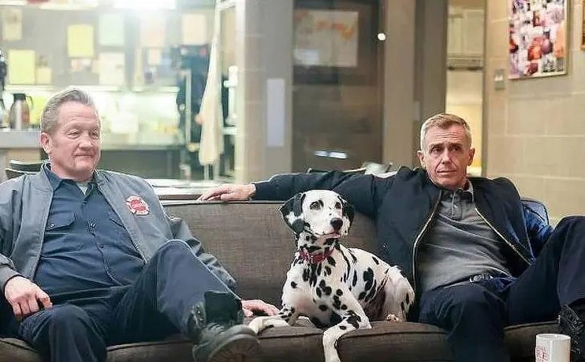 Cadela dálmata de ‘Chicago Fire’ morre dias antes do fim da série