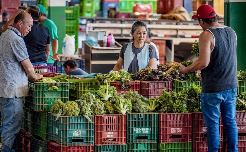 Anvisa inicia monitoramento de resíduos de agrotóxicos em alimentos