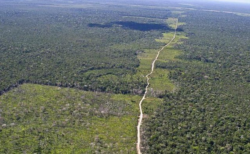 Governo pretende conceder, de forma patrocinada, aeroportos regionais na Amazônia