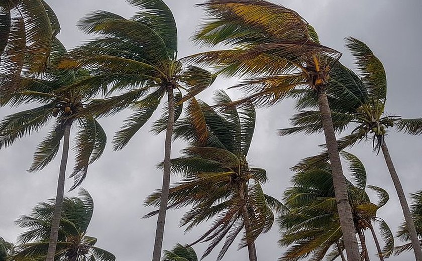 Previsão de chuva e vendaval para cidades de Alagoas; saiba quais