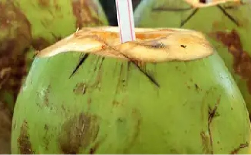 ‘Inflação do verão’: picolé a R$ 30 e água de coco a R$ 15. Consumidores reclamam de preços altos nas praias