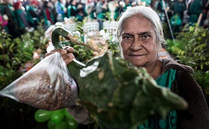 Agro Nacional destaca papel da mulher na agroecologia