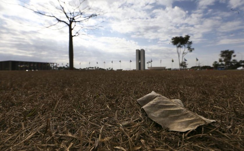 Oito estados e DF têm alerta de grande perigo para baixa umidade
