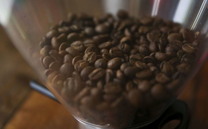 'Todo mundo está iludido': cientistas estabelecem horário seguro para tomar café