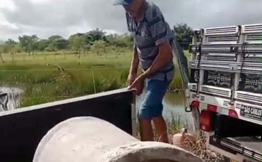 Comunidade da Lagoa do Mato constrói boeira por conta própria após descaso da prefeitura