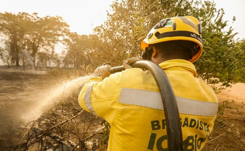 Aumento de incêndios chega a mais de 17 milhões de hectares queimados no Brasil em 2023