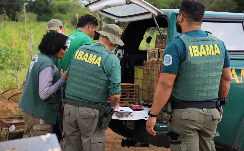 FPI do Rio São Francisco resgata 26 animais silvestres vítimas de maus tratos em feira livre