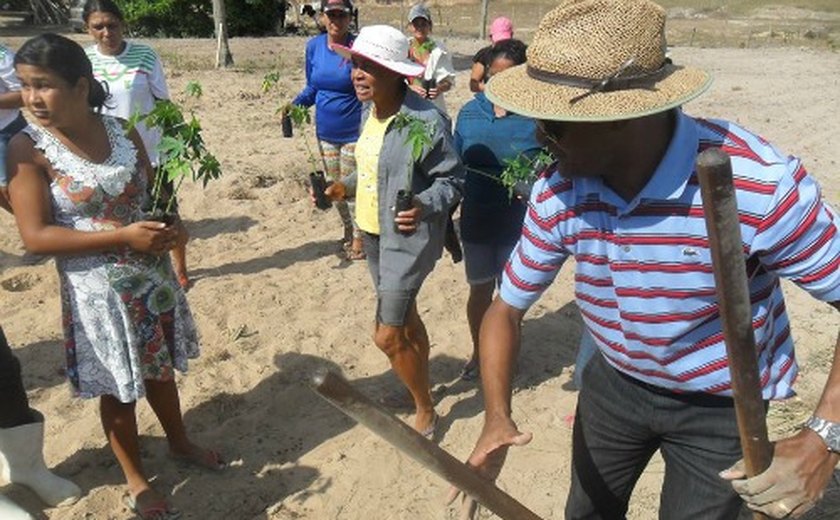 Arapiraca: Agricultoras têm apoio para confecção de doces na Baixa do Capim