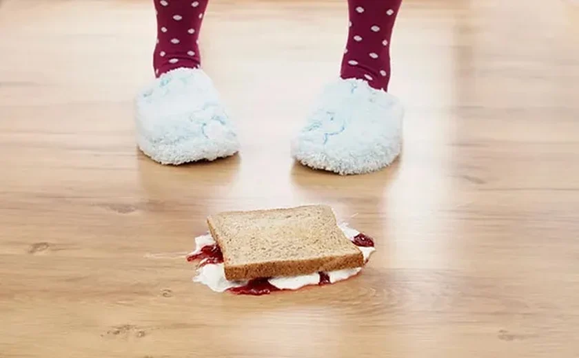 ‘Regra dos 5 segundos’ para comer algo que caiu no chão é válida?