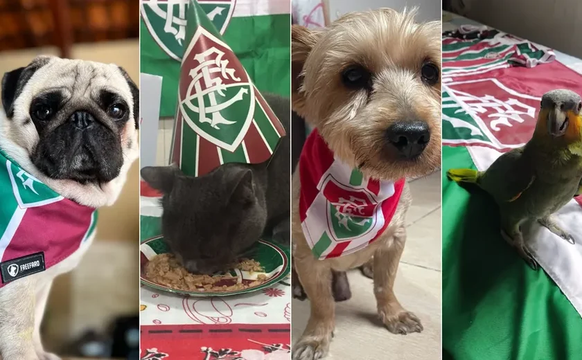 De nome de jogador a aniversário temático: conheça os 'petricolores' na torcida pelo título do Fluminense