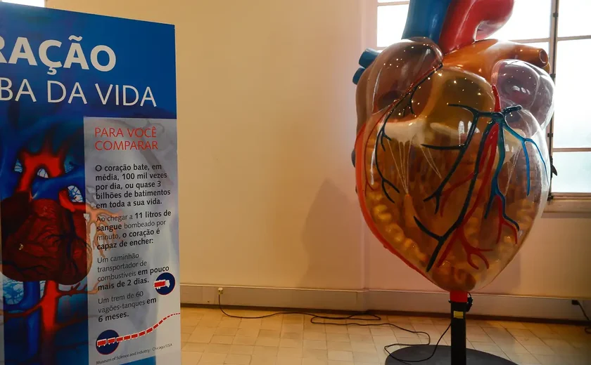 Infarto e parada cardíaca não são a mesma coisa; especialistas ensinam como diferenciá-los