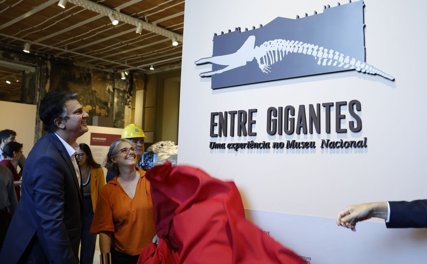 Museu Nacional reabre ao público sete anos após incêndio