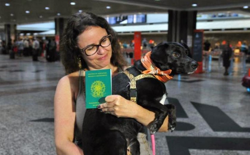 Cães e gatos devem ter documentação específica para viagens internacionais