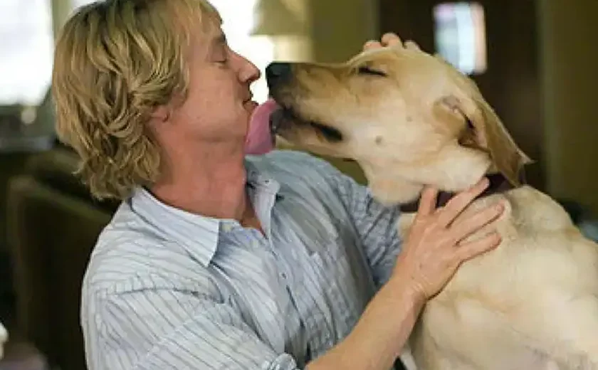 'Marley & Eu': 22 cachorros foram usados no filme que a 'Sessão da Tarde' exibe nesta quinta
