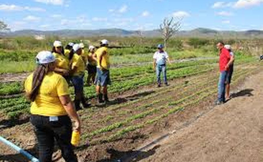 Pronatec Agro: Instituições têm até sexta-feira (24) para apresentar propostas de cursos