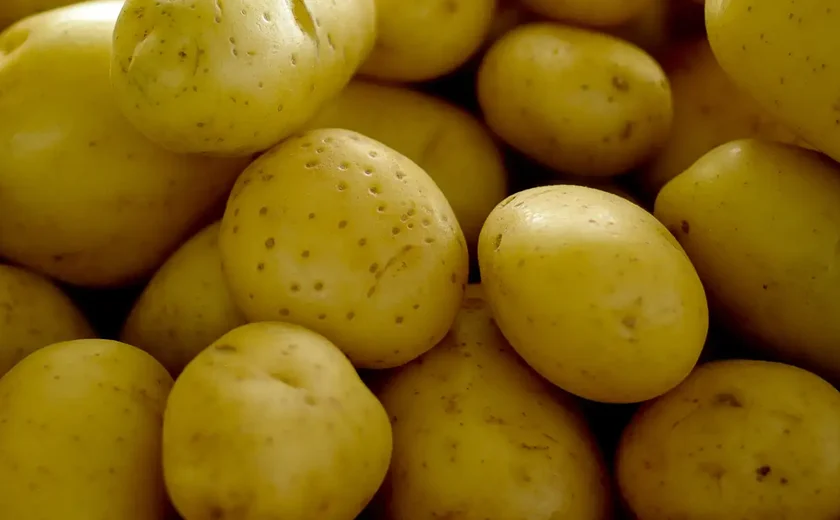 Com caldo em cubo e amor, Batata da Vó Cida ganha versão família para levar para casa