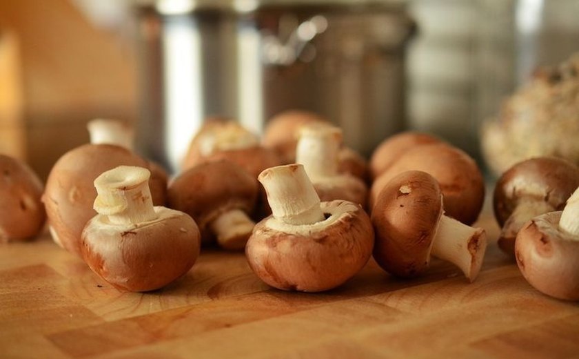 Veganos e fãs da culinária oriental estimulam produção de cogumelos muito além do shiitake