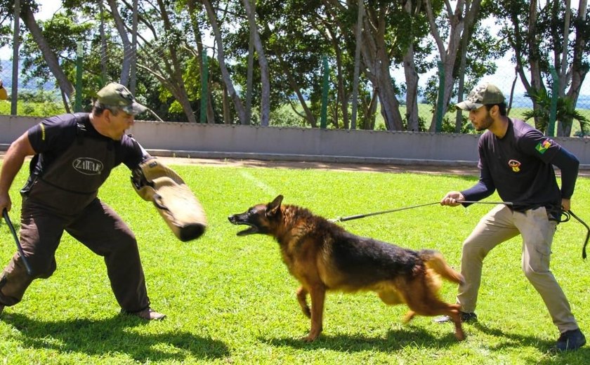 Exposição de cães, Copa Fut7 e show de Alex Kovallick são atrações do Clube do Servidor de Arapiraca