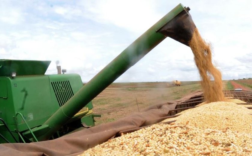 Feira agropecuária Pecnordeste começa hoje (5) em Fortaleza