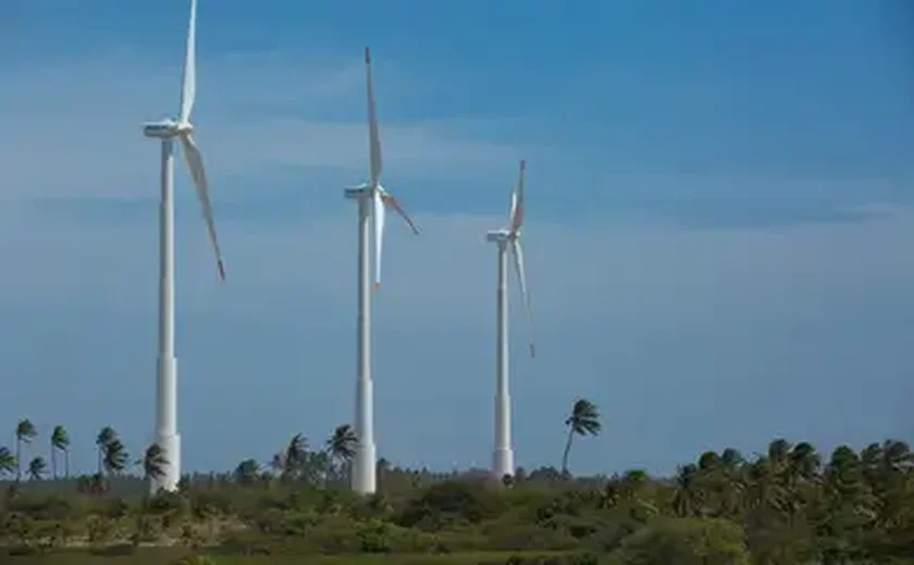 Poder da natureza: vento derruba postes de energia na ilha Gran Canaria