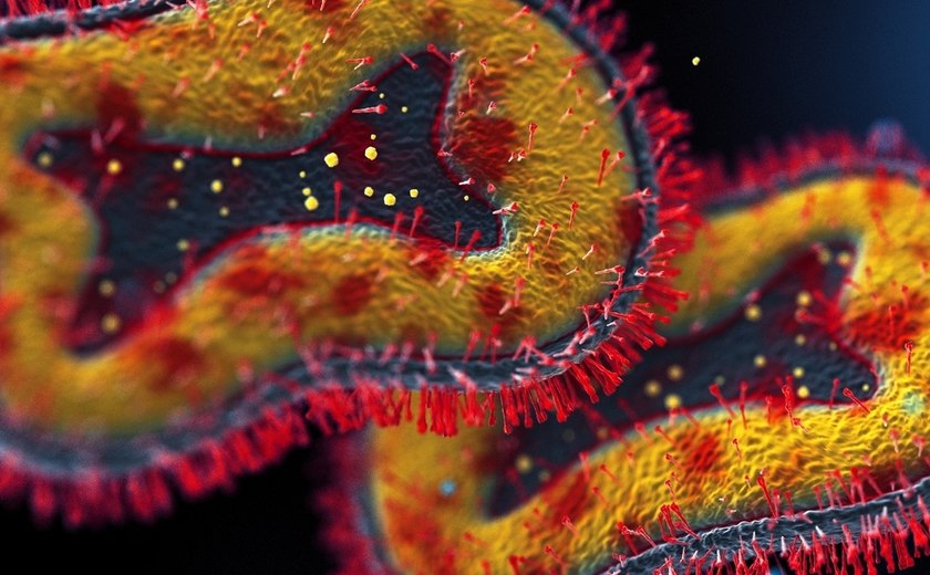 Argentina descarta mpox em navio que saiu do Brasil