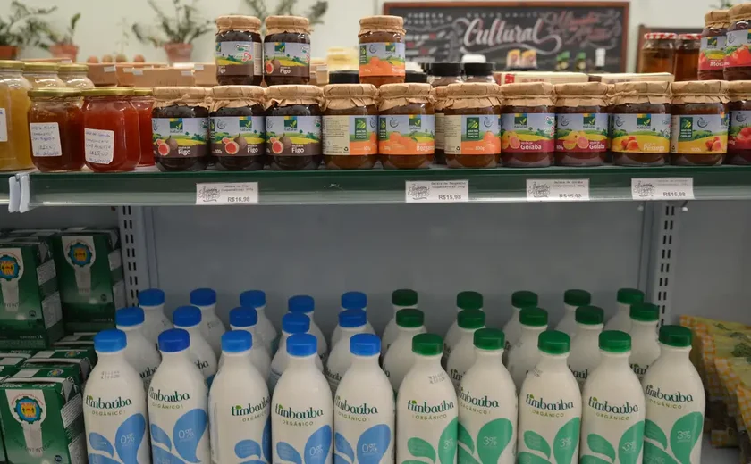 Qual é a bebida láctea com mais proteína? PROTESTE testou 29 marcas brasileiras, confira