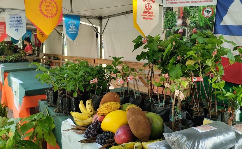 Feira do MST apresenta mais de 1,8 mil produtos na capital paulista