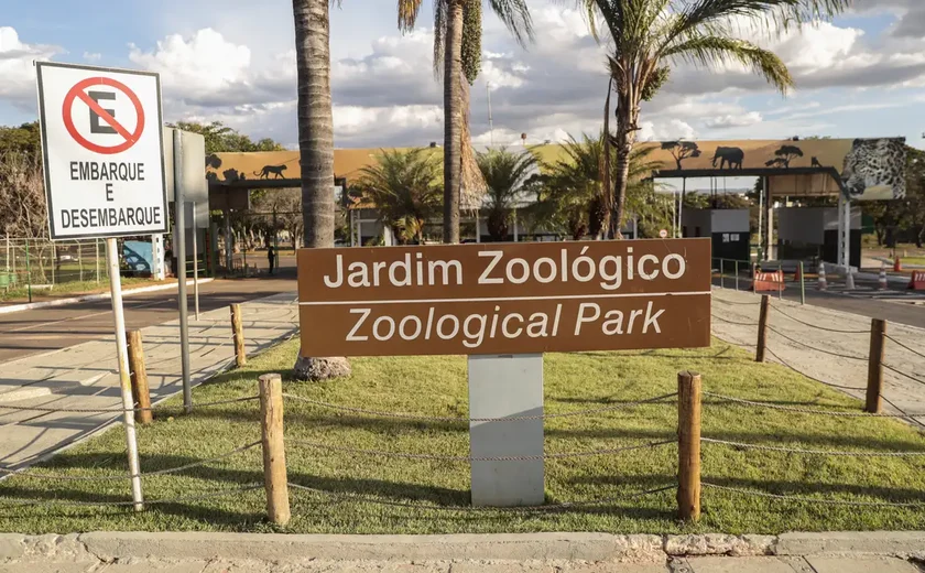 Gripe aviária: governo do DF confirma caso no Zoológico de Brasília