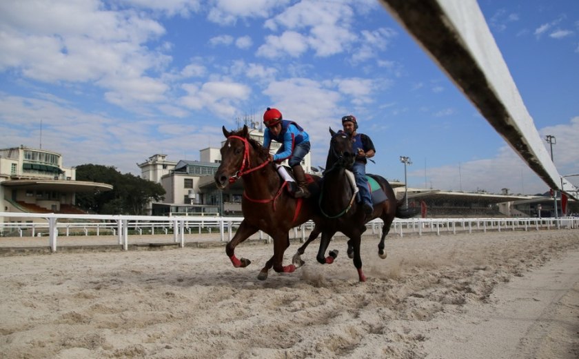 Jockey recebe público após lei proibir corrida de cavalos: 'Queria ver de perto'