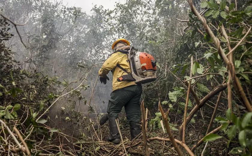 Dino manda governo ampliar combate ao fogo na Amazônia e no Pantanal