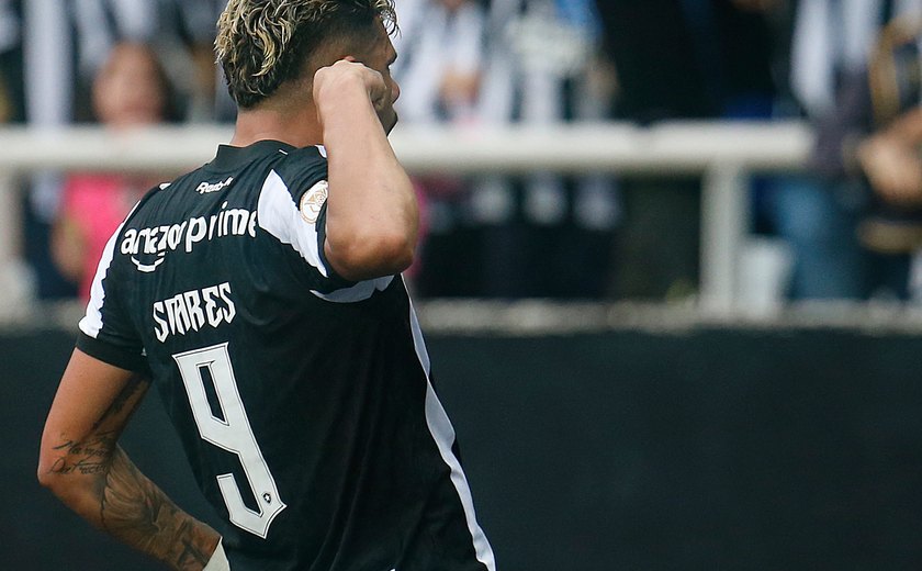Botafogo joga neste domingo contra o Cruzeiro