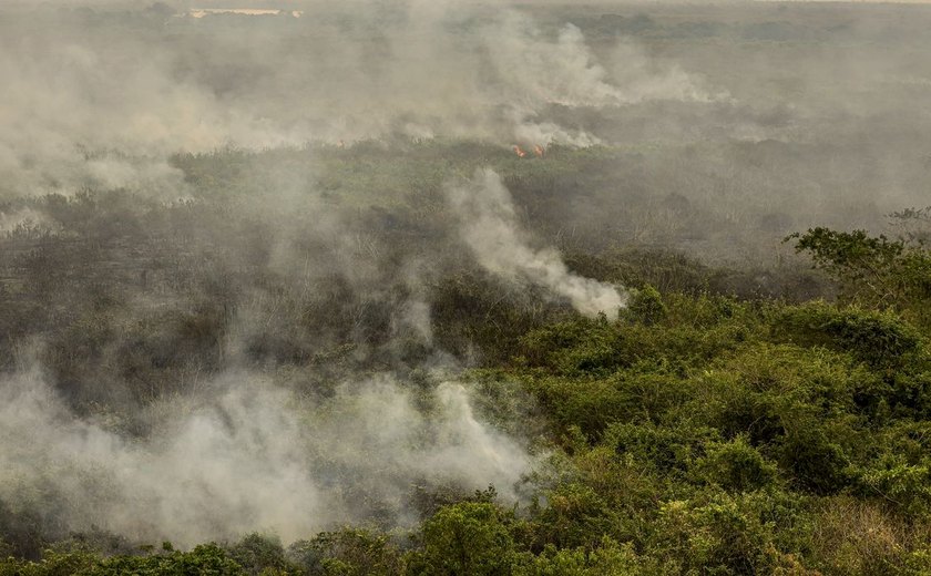 Militares do Exército começam a combater incêndios no Tocantins