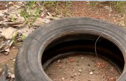 Vacina contra dengue estará disponível para 521 cidades a partir de fevereiro