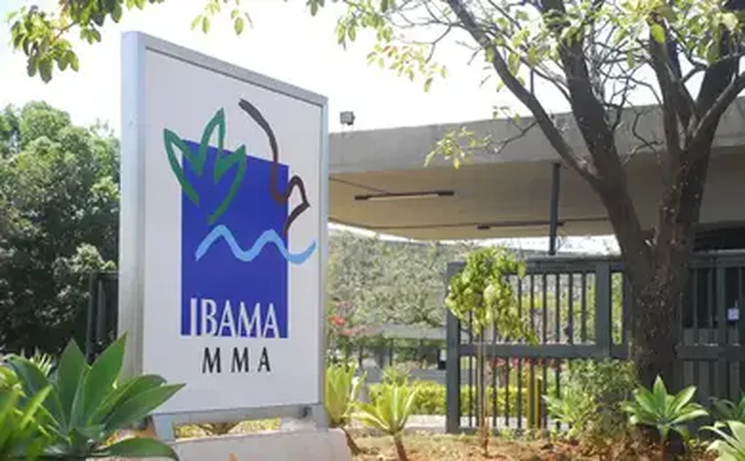 Ibama ainda definirá data para vistoria em base da Petrobras em Oiapoque (AP)