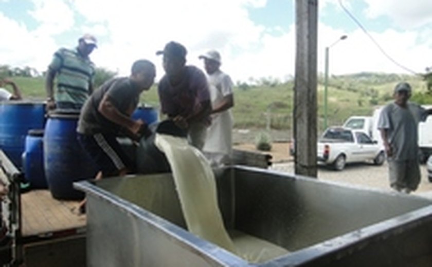 Cadeia do leite ganha R$ 3 milhões em crédito