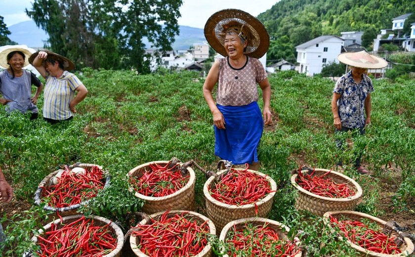 Na China rural, mulheres se unem contra séculos de tradição e exigem os mesmos direitos concedidos aos homens