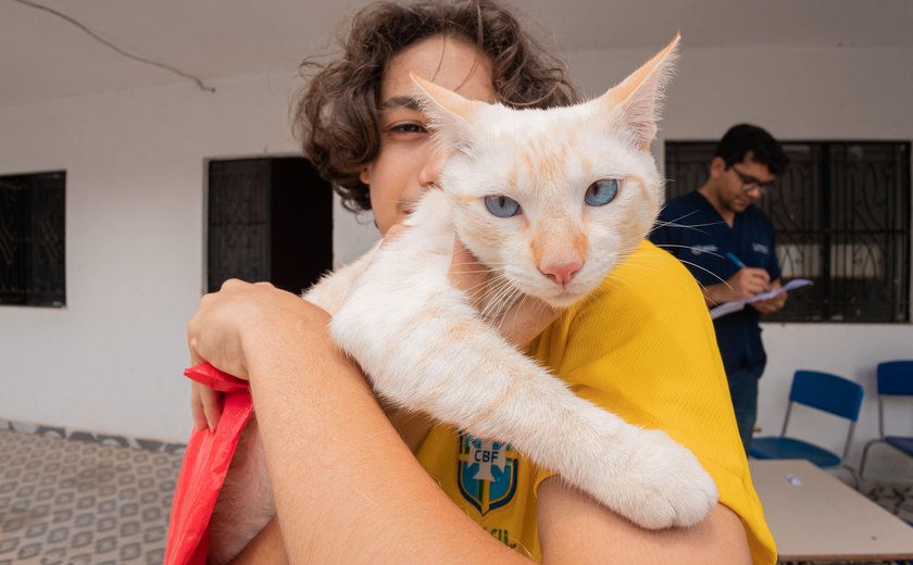 Castramóvel faz atendimento a cães e gatos no bairro Petrópolis
