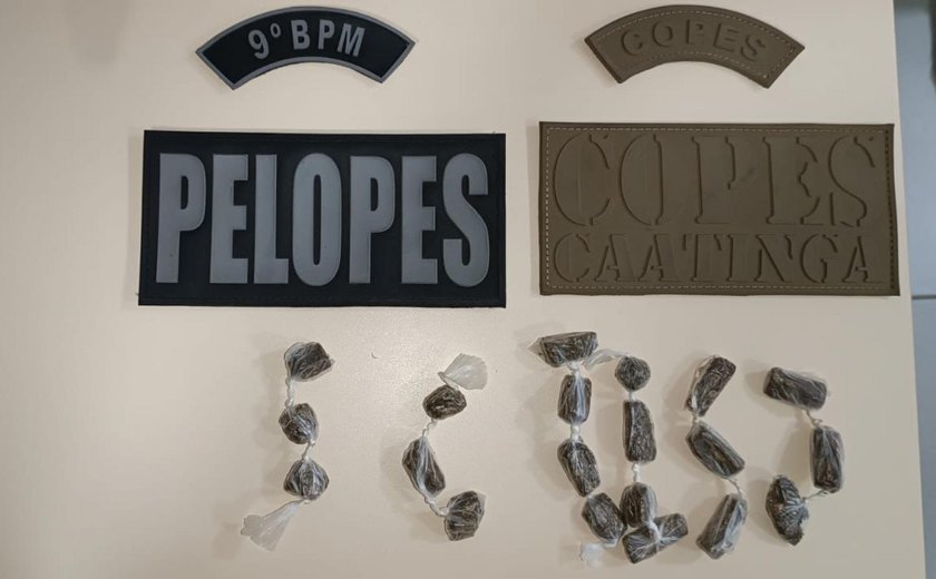PM apreende armas e cumpre mandados de prisão no Sertão de Alagoas