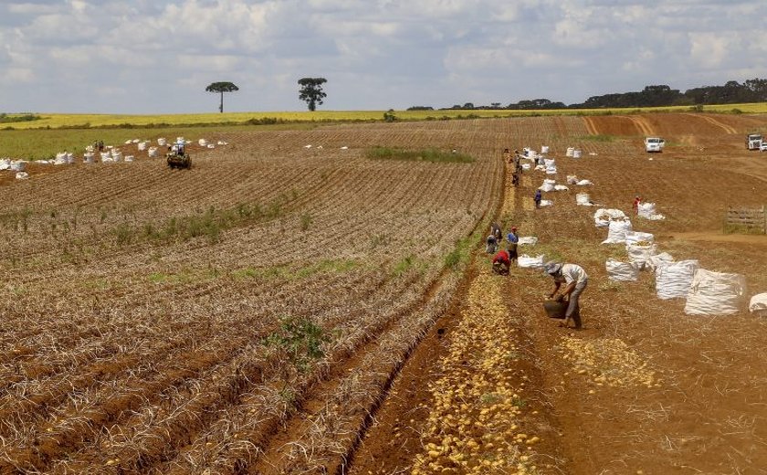 Regulamentação de bioinsumos é destaque em aprovações na área agrícola