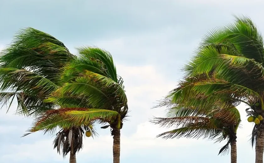 Inmet emite alerta de vendaval para municípios do Sertão de Alagoas