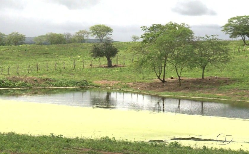 Chuvas deste ano não devem acabar com a seca em Alagoas, diz secretaria
