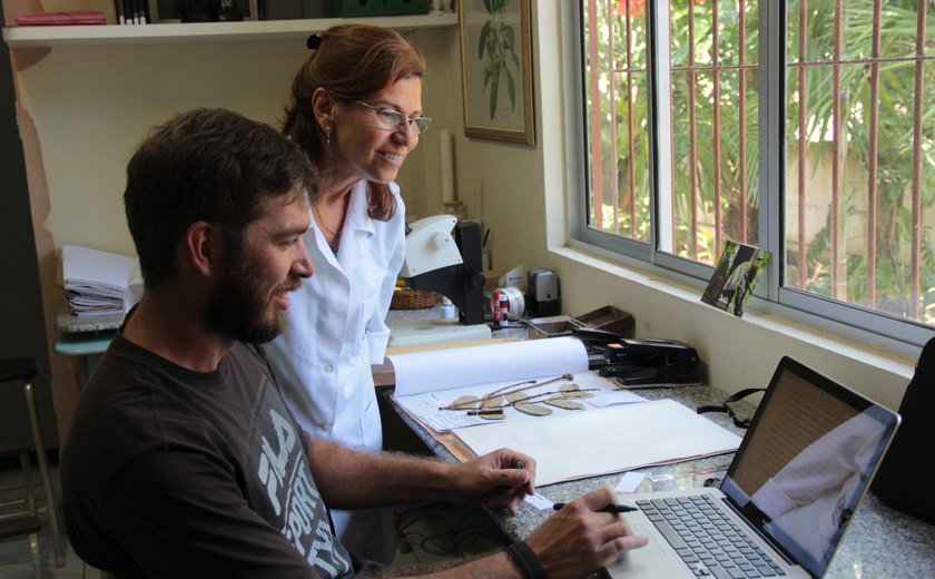 Pesquisador da USP visita Herbário MAC