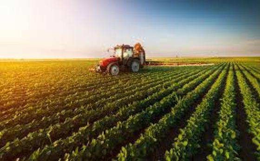 Portaria amplia número de localidades estratégicas para auditores agropecuários