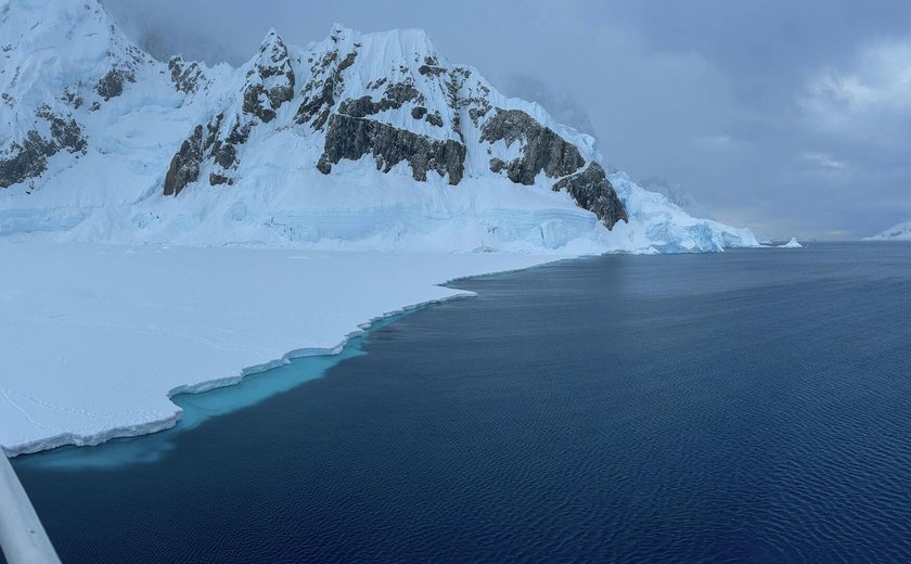 'Primeiro caso': cientistas dão alarme sobre descoberta chocante na Antártica
