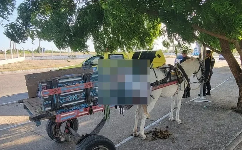 Homem é encontrado morto em carroça de burro no interior de AL