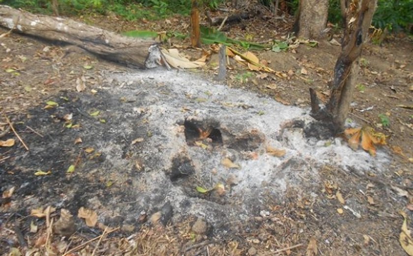 Equipe do IMA vistoria área atingida por incêndio em União dos Palmares