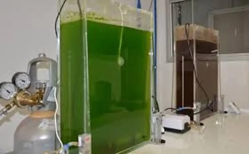 Selo amplia presença da agricultura familiar na produção de biodiesel