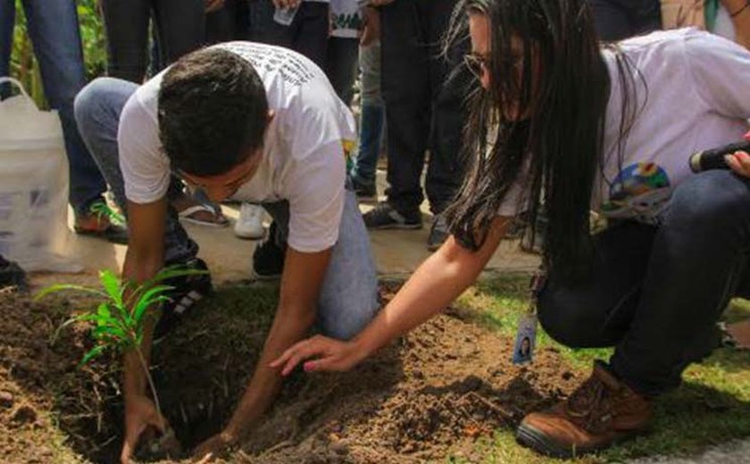 Arapiraca: Estudantes plantam mudas nativas no Bosque das Arapiracas