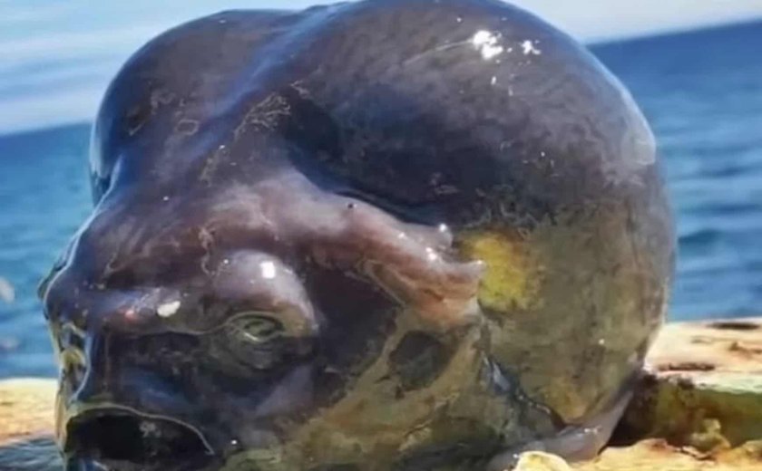 Pescador russo captura peixe de águas profundas que parece uma cabeça de alienígena